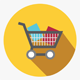 Ecommerce & Payment Gateway