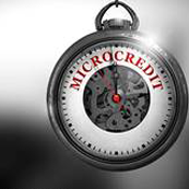 Microcredit Software